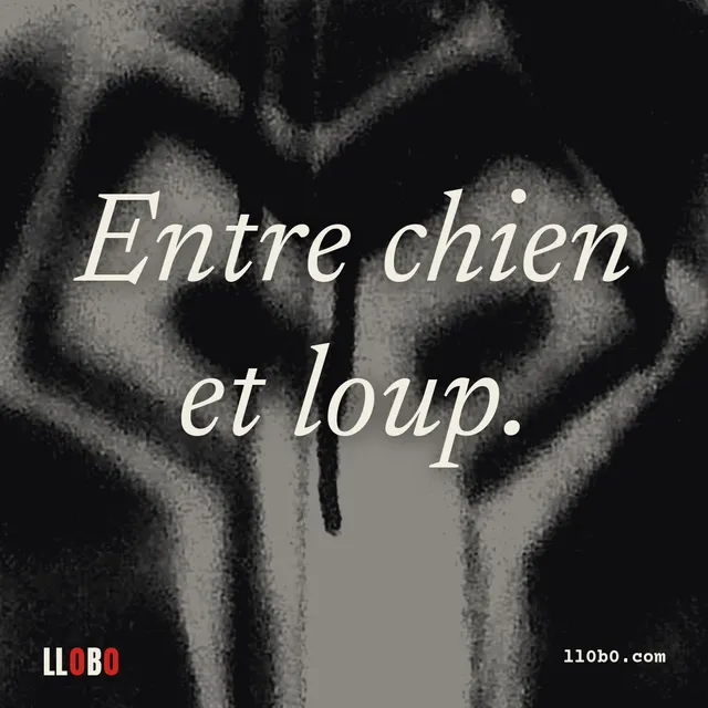 Entre chien et loup.