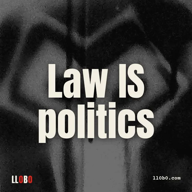 Law IS politics