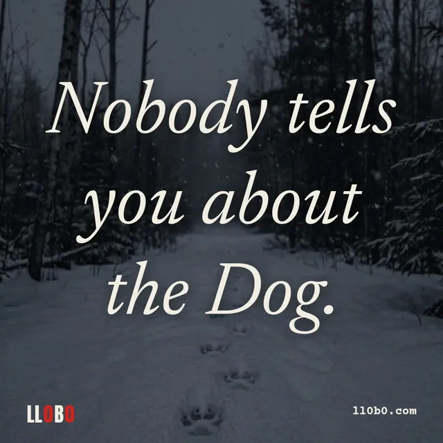 Nobody tells you about the Dog.